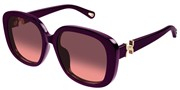 Compre ou amplie a imagem do modelo Chloe CH0303SK-005.