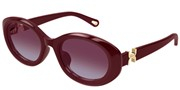 Compre ou amplie a imagem do modelo Chloe CH0323SK-004.