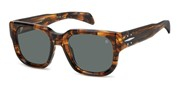 Compre ou amplie a imagem do modelo David Beckham DB7146S-EX4QT.