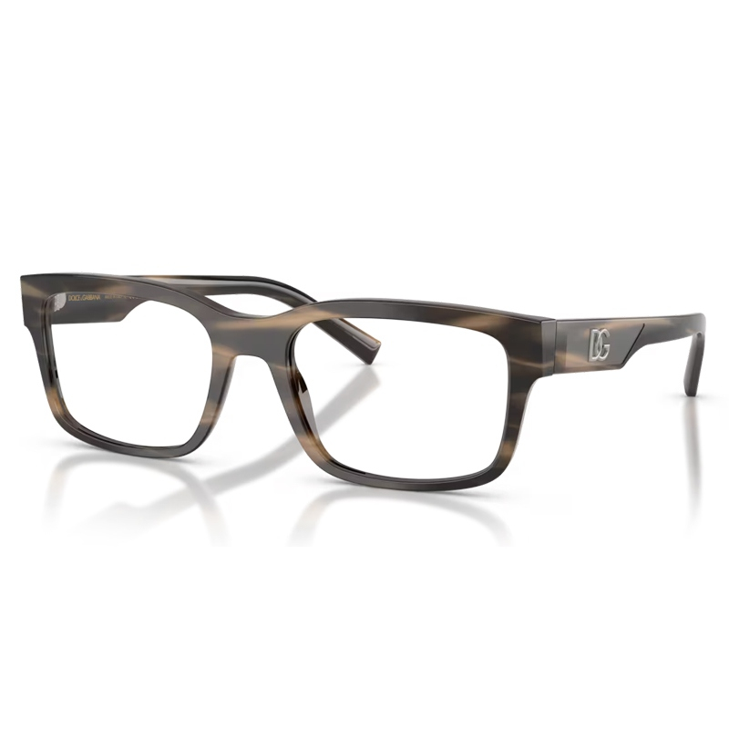 DOLCE E GABBANA 0DG3352-3200
