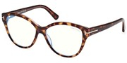 Compre ou amplie a imagem do modelo TomFord FT5954B-056.