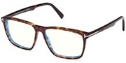 Compre ou amplie a imagem do modelo TomFord FT5959B-052.