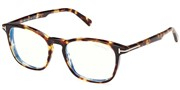 Compre ou amplie a imagem do modelo TomFord FT5960B-053.