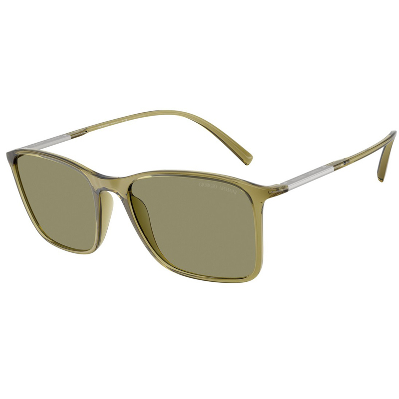 GIORGIO ARMANI 0AR8231U-6241M3