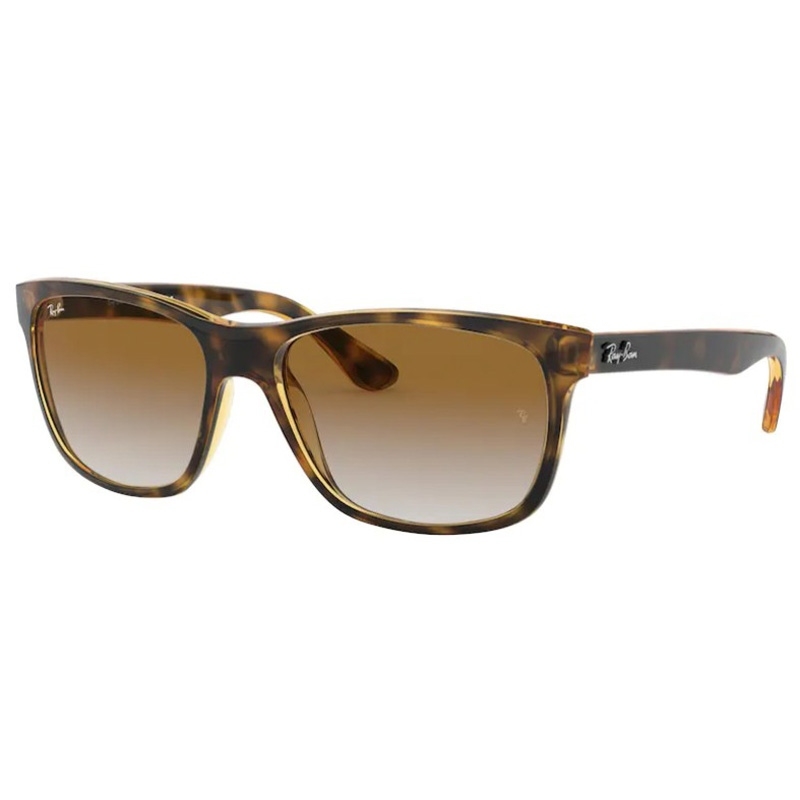 RAY BAN RB4181-71051