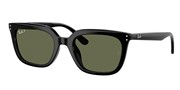 Ray Ban 0RB4439D-9019A