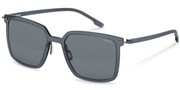 Compre ou amplie a imagem do modelo Rodenstock R3351-C445.