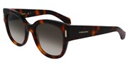 Salvatore Ferragamo SF2007S-240