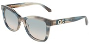 Salvatore Ferragamo SF2108S-314