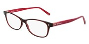 Compre ou amplie a imagem do modelo Salvatore Ferragamo SF2910-612.