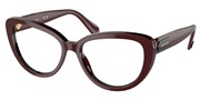 Compre ou amplie a imagem do modelo Swarovski Eyewear 0SK2014-1019.